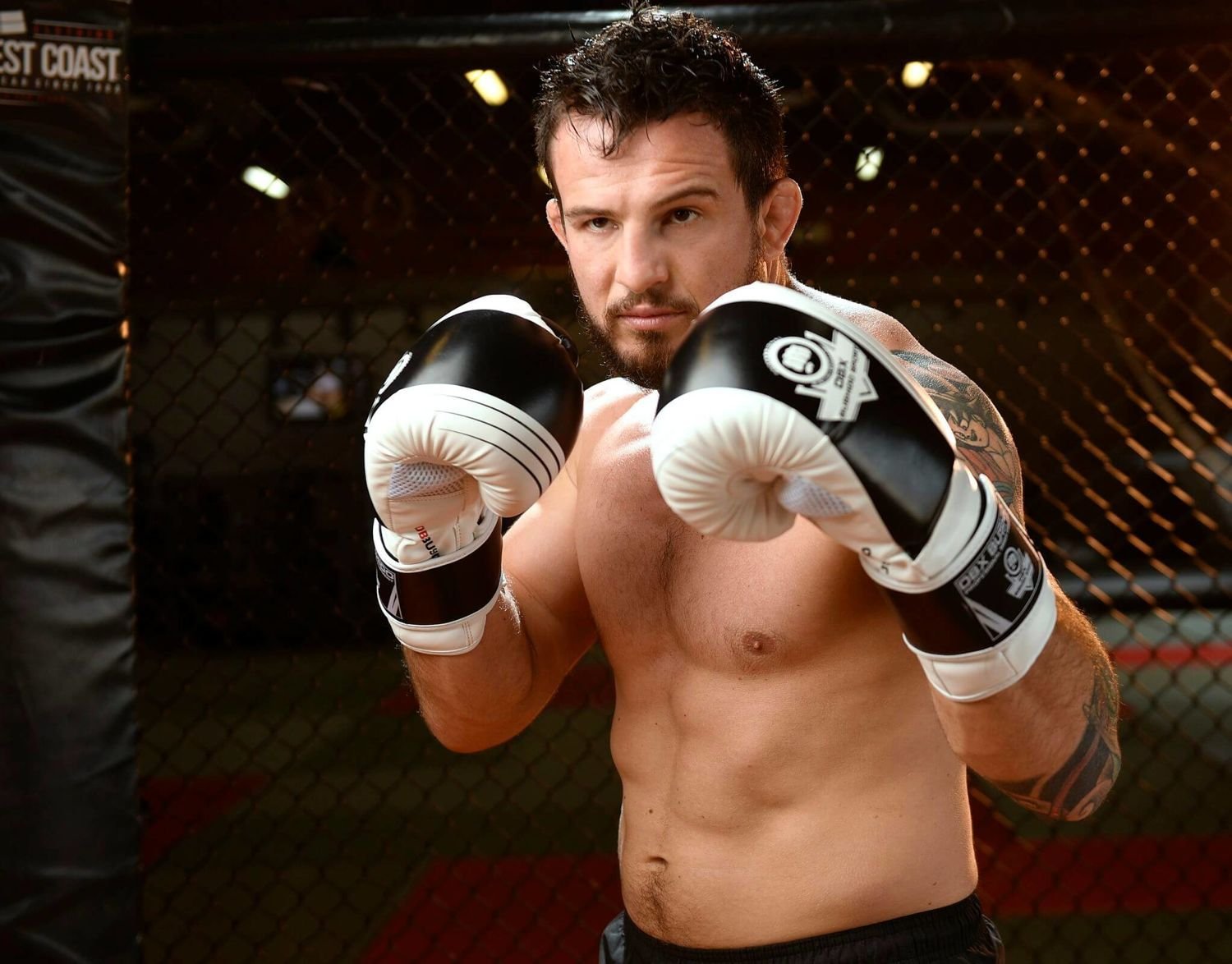 Bokso pirštinės 2v3A - Image 2