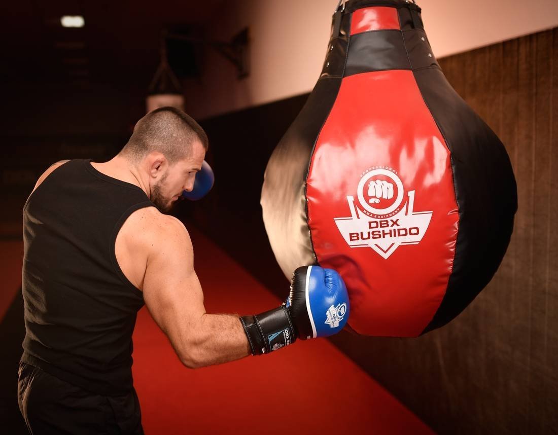 Bokso kriaušė PB-4R - Image 4